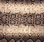 Printed Scarf (62)