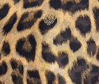 Printed Scarves (43)