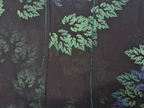 Printed Scarves (69)