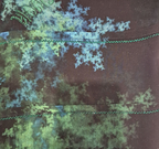 Printed Scarves (69)