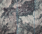 Printed Scarves (53)