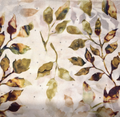 Printed Scarves (64)