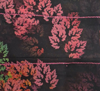 Printed Scarves (69)