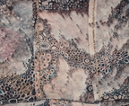 Printed Scarves (53)