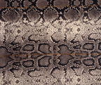 Printed Scarf (62)